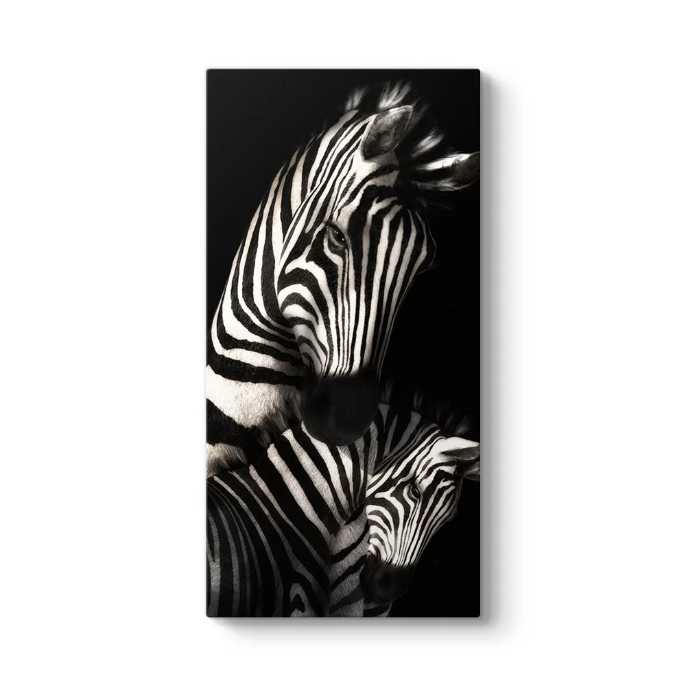 Desenli Zebra Tablosu - Model 7